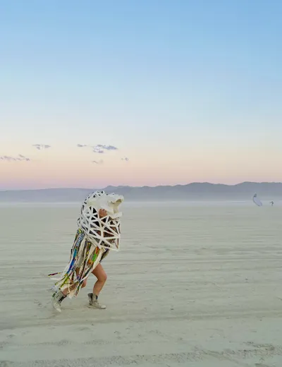 a running lion